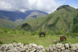 En Santa Victoria. Salta. Argentina jigsaw puzzle