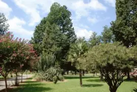 Plaza en Rueda. Santa Fe. Argentina jigsaw puzzle