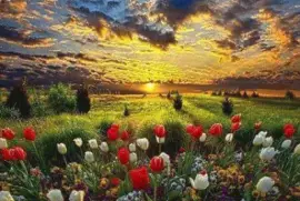 paisaje jigsaw puzzle