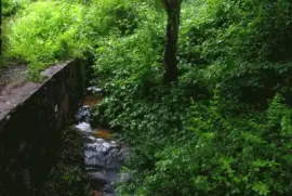 Cerca de La Cumbrecita. CÃ³rdoba. Argentina jigsaw puzzle