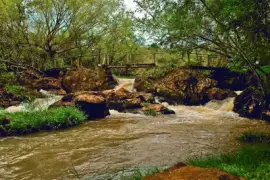 Arroyo Toro. Misiones. Argentina jigsaw puzzle