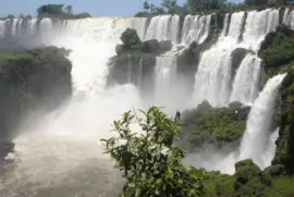 Cataratas del IguazÃº. Misiones. Argentina jigsaw puzzle