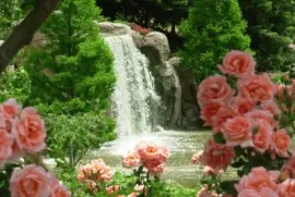 natureza jigsaw puzzle