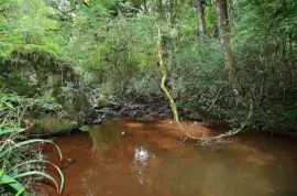 En la Provincia de Misiones. Argentina jigsaw puzzle