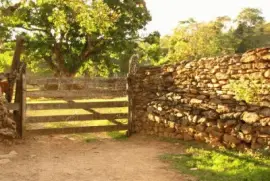 Natureza jigsaw puzzle