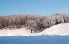 Natureza jigsaw puzzle