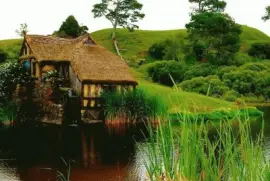 NÂº 1055 jigsaw puzzle