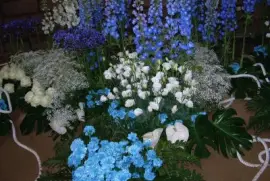 Temps de Flors - Girona jigsaw puzzle