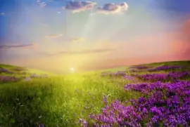 Natureza jigsaw puzzle