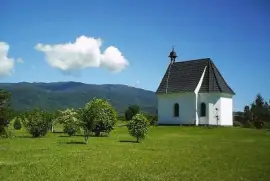 En TafÃ­ Viejo. TucumÃ¡n. Argentina jigsaw puzzle