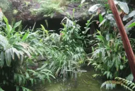 Invernadero jigsaw puzzle