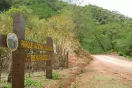 PN Calilegua. Jujuy. Argentina jigsaw puzzle