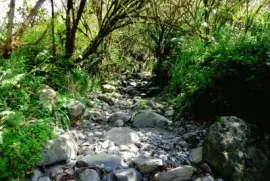 En la Provincia de TucumÃ¡n. Argentina