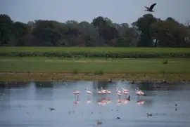 Al Sur de Gral. Villegas. Buenos Aires. Argentina jigsaw puzzle