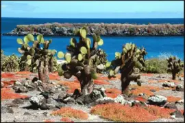 Islas GalÃ¡pagos. Ecuador