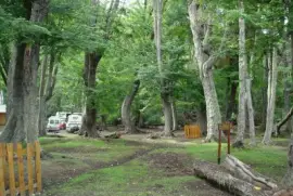 Lapataia. Tierra del Fuego. Argentina