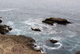 pacific jigsaw puzzle