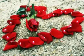 corazon con petalos de rosas