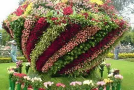 imagen dibujo con flores