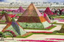 piramides con flores