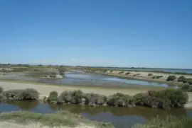 camargue