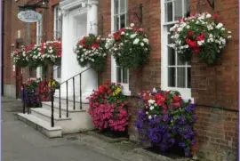 casa con maceteros florales