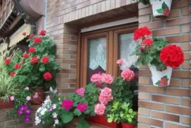 casa con flores2