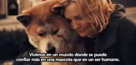 Hachiko