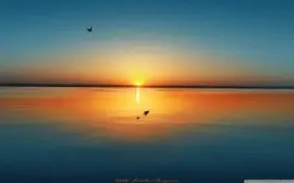 sunset jigsaw puzzle