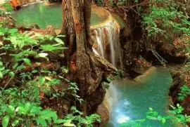 Apazapan jigsaw puzzle