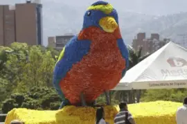 pajaro