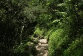 Cerro San Javier. TucumÃ¡n. Argentina