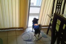 Nick na porta da sacada