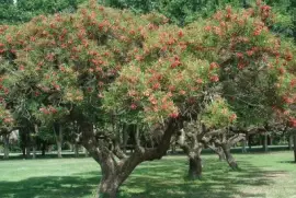 En Rosario. Santa Fe. Argentina