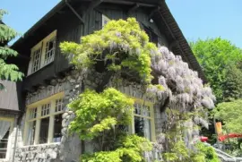 En Vancouver. CanadÃ¡ jigsaw puzzle