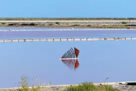 en las salinas nooooo