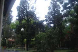 jardÃ­n
