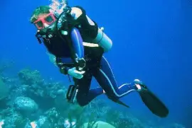 Buceo en Los Roques