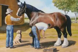 opioioiioi uh zftfff