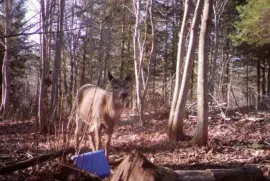 Hey!  I hope you guys left me some!