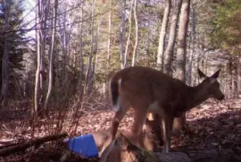 Hey mom! All this eating made me tired!