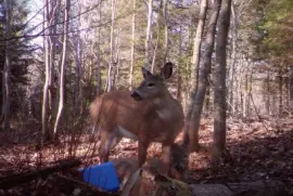 Hey!  Wait your turn!