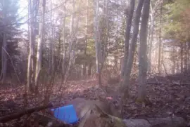 M-m-m! These apples sure are good!