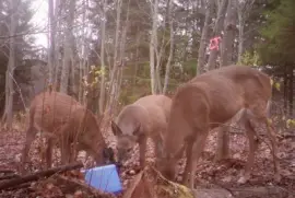 Easy kids, there 's enough for us all!