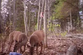 Are we meeting mom here today?