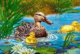 5ced o67tr7 tf7o6rv dt