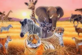 Ã¶f85x7,6x4u, ir.ri7 l