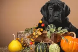 h f t fkf tf zt zt ftuktk