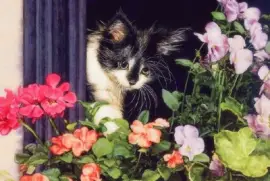 789bn8 zu6tr tutr ffg utfgh tfg ghnb