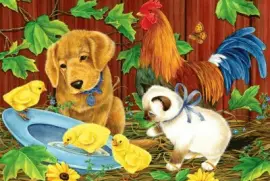 23 esrz tr uzt5r tfuoi ftz dzh